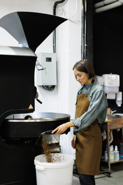 Process of coffee beans falling out in bucket from roaster machine