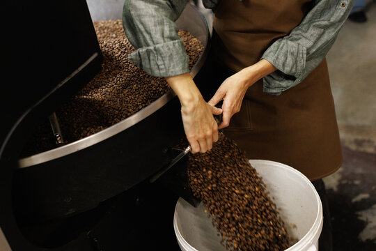 Cropped worker controlling of coffee beans falling out in bucket