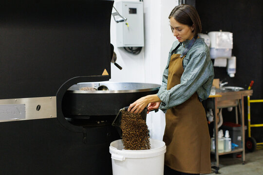 Worker control coffee beans fall out in bucket from roaster machine