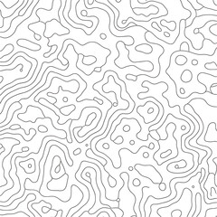 Fototapeta premium Black and white topographic map pattern on isolated on transparent background