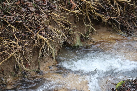 undercut Stream area