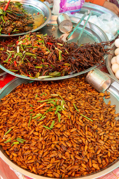 Tarantulas and insects for sale as snacks at Skun Market near Siem Reap, Cambodia