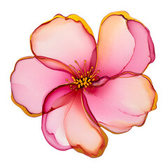 Pink alcohol ink flower with golden edges isolated on white background