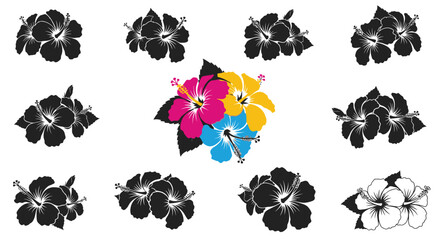 Hibiscus flower arrangement with colorful blooms and black silhouettes © Asia