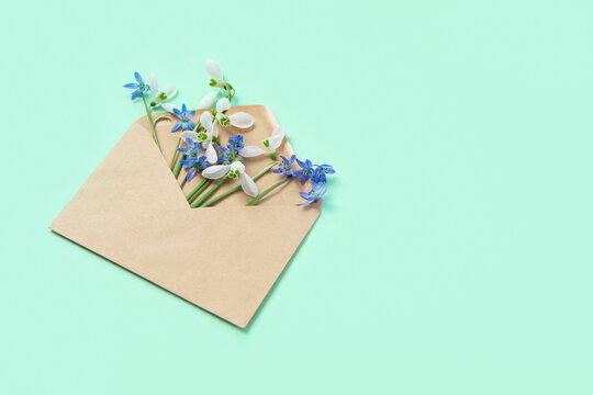 Spring gentle white and blue snowdrop flowers in paper envelope on green background close up. beggining spring season concept. composition fith first spring flowers in minimal style. copy space.