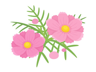 かわいいコスモスのイラスト素材