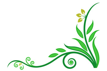 A stylized green plant with leaves and stems on a white background, illustration design
