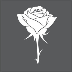 Black rose silhouette isolated on white canvas