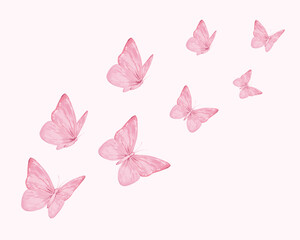 set of pink butterflies