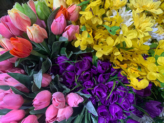 colorful flowers in the market