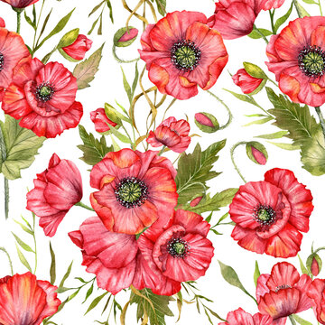 Poppy Seamless Pattern Hand Painted Watercolor. Summer Seamless background with Red Blooming Poppies