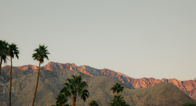 Palm Trees and Mountains at Sunset Near Palm Springs