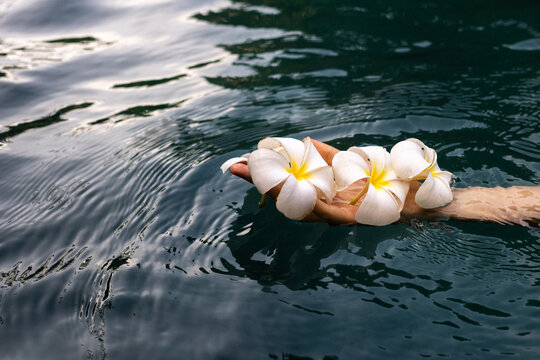 water ritual with flowers, hand offering white flowers for prayer