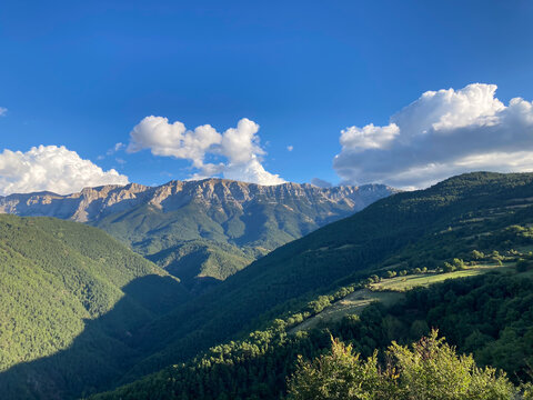 Pyrenees mountains landscape with vast green forest