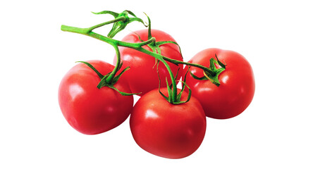 Branch of delicious fresh cherry tomatoes, isolated on transparent background © Design Zone