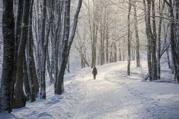 A person is walking through a snowy forest