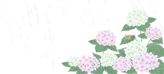 Watercolor light pink & white hydrangea footer border with rain drops and a snail for rainy season design.-300dpi- © URU