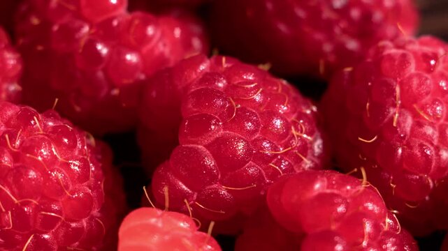 Smooth side motion moves across ripe raspberry macro texture, revealing vivid surface detail and natural fruit structure. The macro background suits food visuals, motion design, creative backgrounds.
