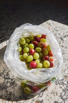 Plastic bag with gooseberries