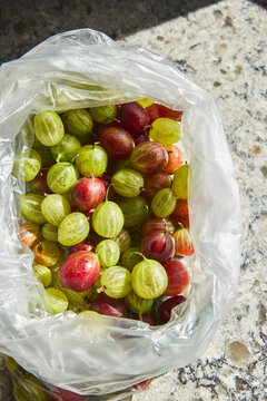 Plastic bag with gooseberries