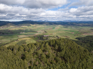 Fototapeta premium Pine forest and cultivated fields in winter. Azpa, Egüés Valley. Navarre 