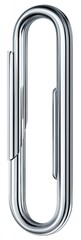 Isolated image of a shiny, metallic paper fastener. The clip is vertically oriented