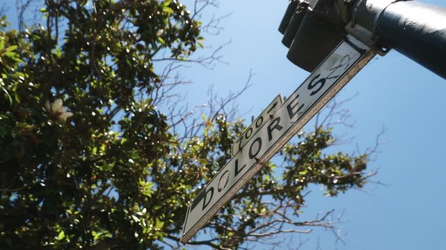 A street sign that says, Dolores. on a sunny day with a tree behind it. San Francisco, California.