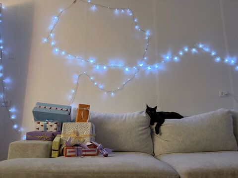 Black cat lounges by holiday gifts