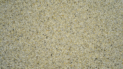 Beach sand composed of different minerals on the shores of the Atlantic Ocean © Delfim Sa Neiva