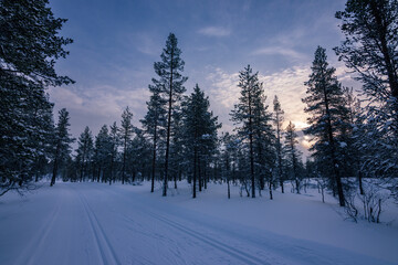 Cross-country skier gliding through the pristine snowy trails of Urho Kekkonen National Park during golden hour, Finnish Lapland © julen