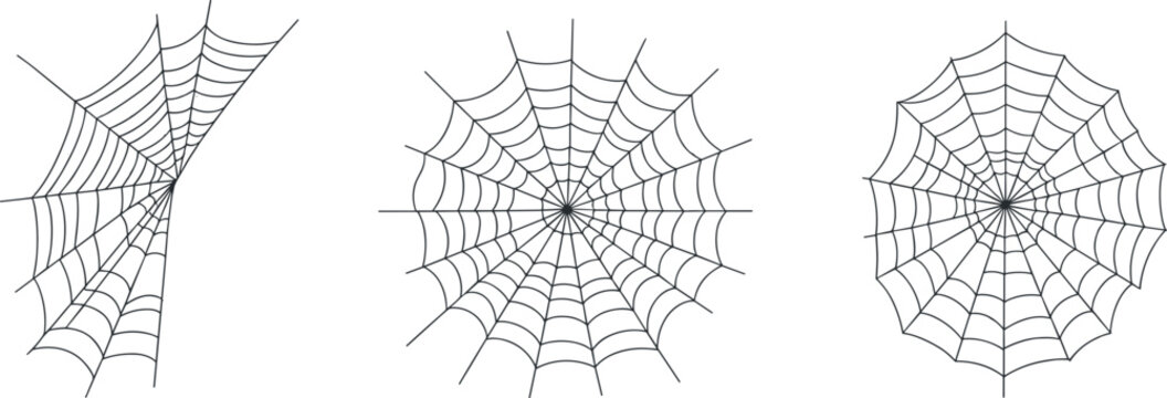 Spider web vector set illustration showing three different cobweb designs, Halloween spooky decoration element, abstract geometric web pattern isolated on white background for creative graphic design.