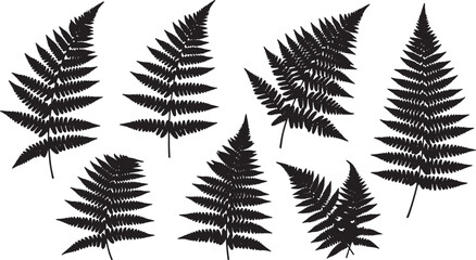 Wild Fern Plant Elements for Forest Floor Scenes © Shakeel