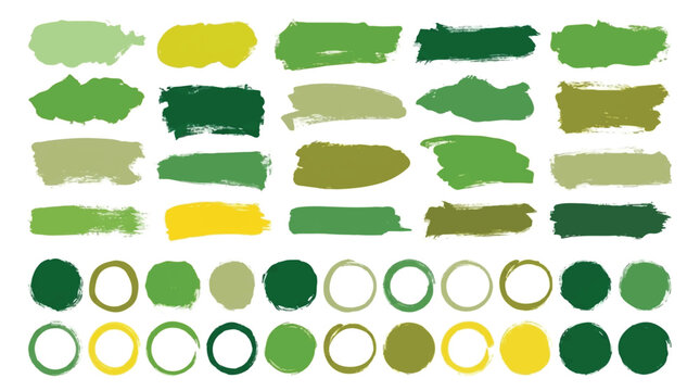 Green and yellow brush stroke and circle shapes for graphic design elements