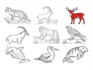 coloring page line art the animal bird and flower black vector bundle