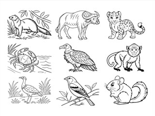Obraz premium coloring page line art the animal bird and flower black vector bundle
