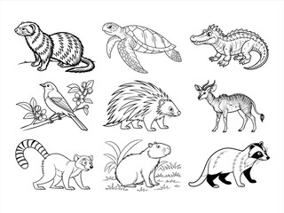 coloring page line art the animal bird and flower black vector bundle