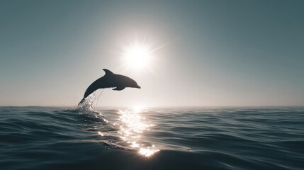 Naklejka premium Dolphin Silhouette Jumping in Vast Ocean During Bright Sunny Day Ideal for Raising Awareness About Marine Life Conservation