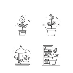 Vector illustration of potted plants and a plant growing under a lamp in a line art style isolated on transparent background