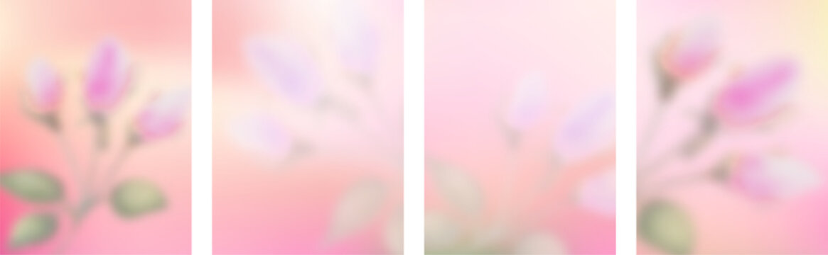 Floral spring gradient background with soft tones a set of floral cover designs.