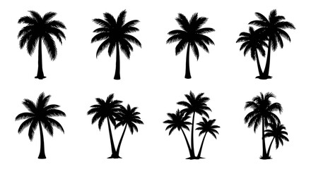 Obraz premium Silhouette collection of various tropical palm trees against a white background