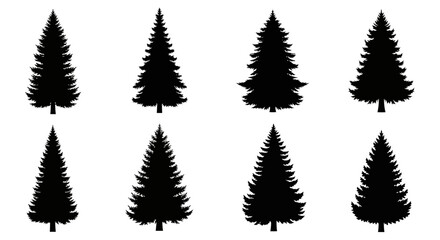 Fototapeta premium Collection of black silhouette pine trees on a white background