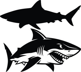 Fototapeta premium Shark silhouette and angry shark illustration