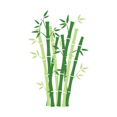 Obraz premium Green bamboo stalks and leaves illustration. Zen-style nature graphic representing growth, sustainability, and Asian influence.