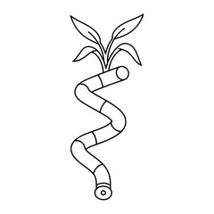 Fototapeta premium Minimalist line art of a spiral lucky bamboo stalk. Clean black and white outline for botanical logos, icons, or coloring projects.