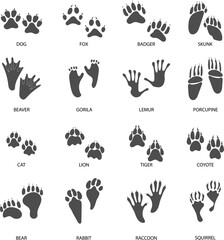 Collection of animal footprint silhouettes featuring wild and domestic species. Clean and simple track icons suitable for wildlife education, nature guides, hunting themes, camping design, and environ