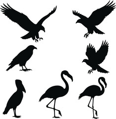 Fototapeta premium set of silhouettes of birds