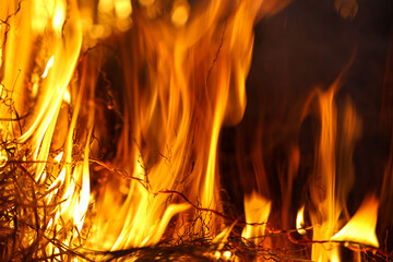 Flames dancing upward with vibrant orange and yellow hues consuming dry twigs and grass in a fiery display of heat Macro Shot