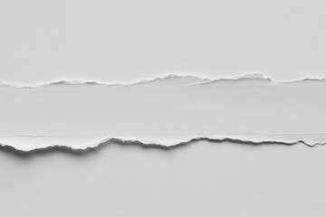 Horizontal Torn Paper Strip with Rough Edge on Neutral Gray Background