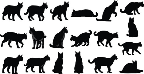 Black silhouette vector illustration of eighteen cats in various poses including walking, sitting, lying, stretching, crouching, feline behavior, design art © Milan