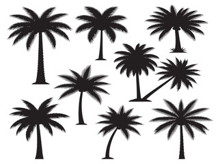 Tropical palm silhouette with an exotic and relaxing design